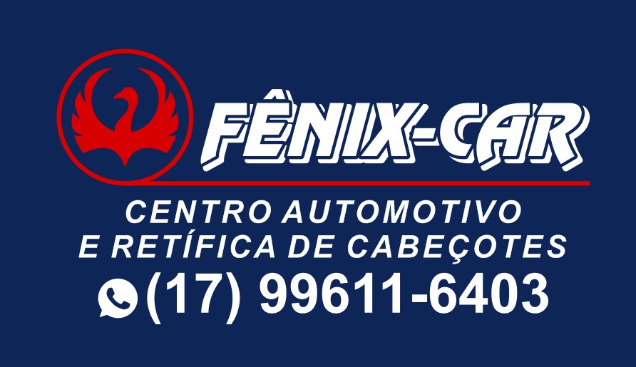 FENIX CAR