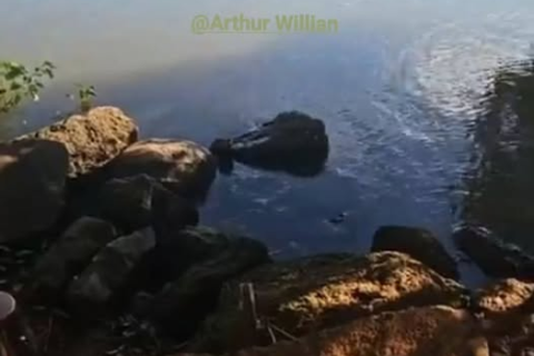 CASAL SE AFOGA NO PORTO DE AREIA; HOMEM É RETIRADO COM SINAIS DE POSSÍVEL ÓBITO