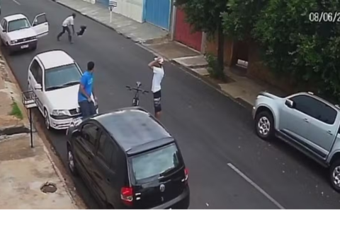 homem é flagrado arremessando cachorra no chão em Araçatuba