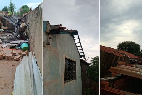 Chuva com vento destelha casas, deixa 10 desalojados e derruba árvores em Palmeira d’Oeste