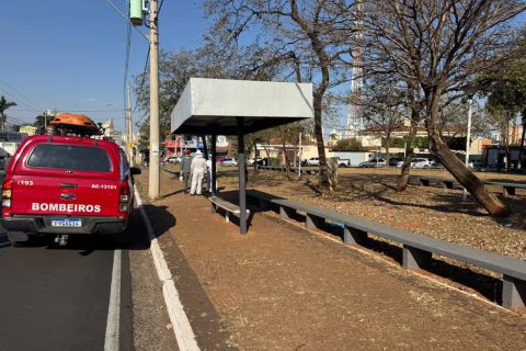 Quatro pessoas são atacadas por abelhas em avenida de Rio Preto