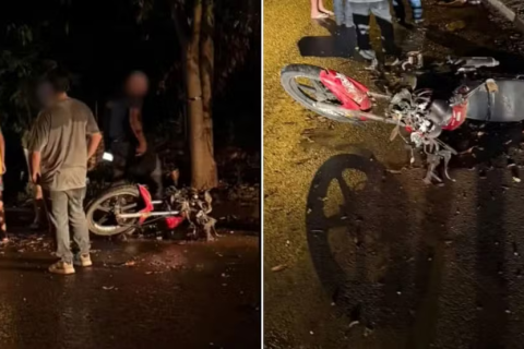 Motociclista sem CNH morre após bater em árvore no noroeste de SP; filha de 12 anos estava na garupa