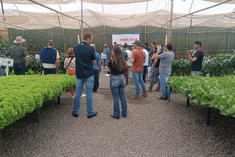 8º Encontro de Folhosas do Viveiro Agromudas reúne conhecimento e inovação em Jales